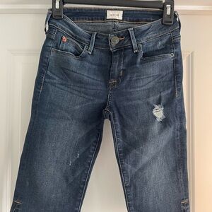Hudson Jeans Blue Skinny